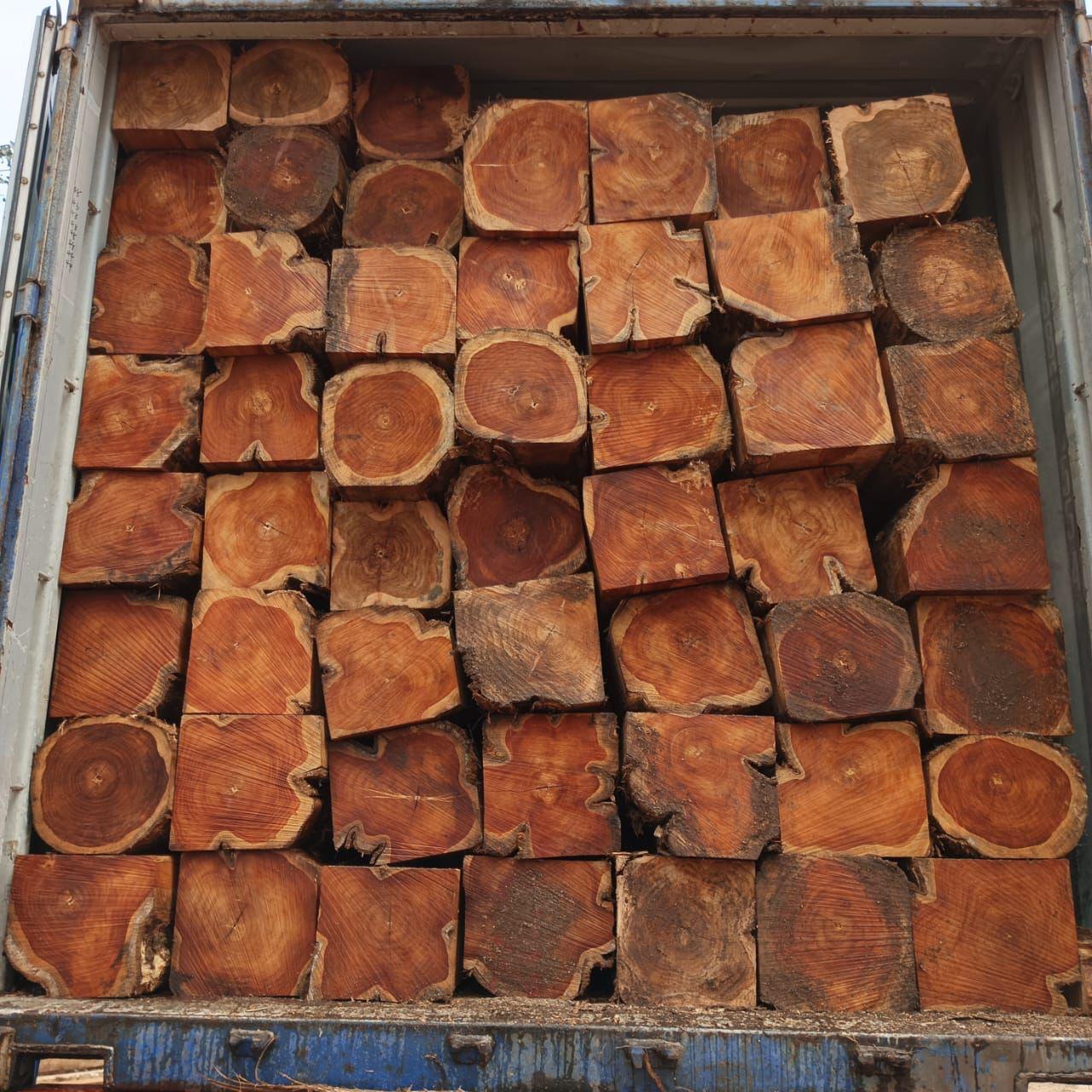 Ecuador Teak 5